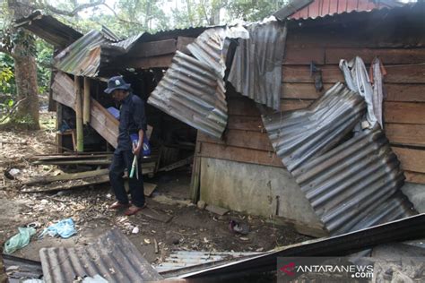 Gajah Liar Kembali Rusak Rumah Warga Pemerintah Diminta Cari Solusi