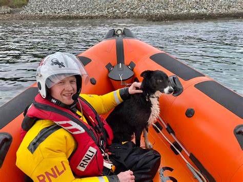 Kyle Rnli Rescue ‘skye The Dog Who Became Stranded On A Rock As The