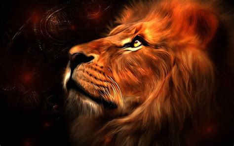 Top 70 Imagen Imagenes De Leones Con Colores Rastas Abzlocal Mx