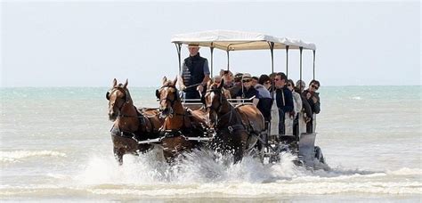 Gouville sur Mer Visitez les parcs à huîtres et les moulières