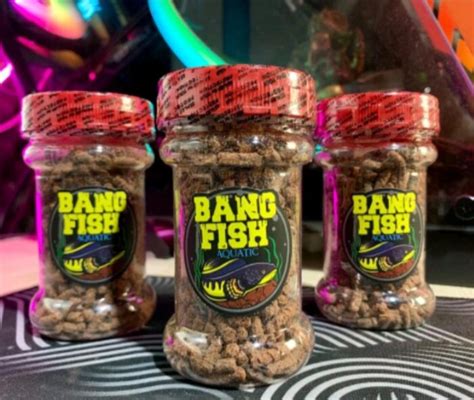 Pelet Andalan Original Bangfish Aquatic Gram Lazada Indonesia