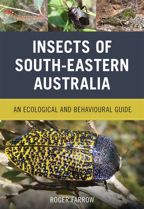 Insects Of South Eastern Australia An Ecological And Behavioural Guide Nokomis