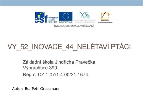 Vy 52 Inovace 44 Nelétaví ptáci ppt stáhnout