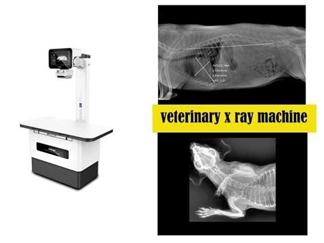 Radiograf A Digital Rd Aplicaci N Cl Nica Veterinaria Jiangsu