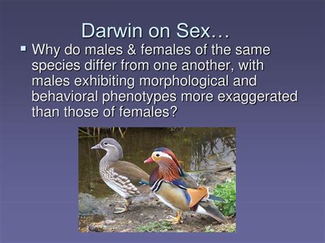 Ppt Sexual Selection Powerpoint Presentation Free Download Id473300