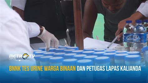 Bnnk Tes Urine Warga Binaan Dan Petugas Lapas Kalianda Youtube