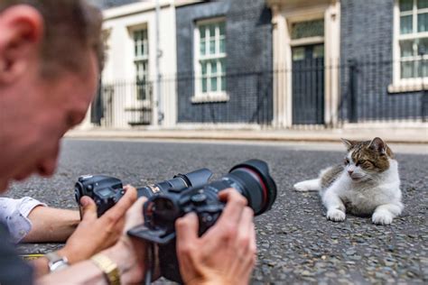 Photos: Larry the Cat’s 12 Years as Chief Mouser - The Atlantic