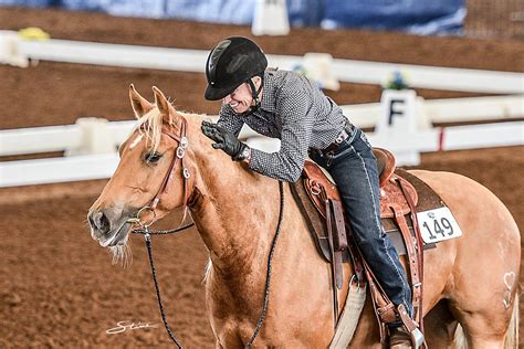 Western Dressages Esteemed Wdaa World Championship Show Gets Underway