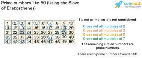 Prime Numbers 1 to 50 | List of Prime Numbers Between 1 to 50