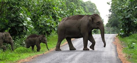 Periyar Wildlife Sanctuary, Periyar National Park