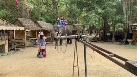 Tourist Riding On An Elephant Daytime Na Stock Video Pond5