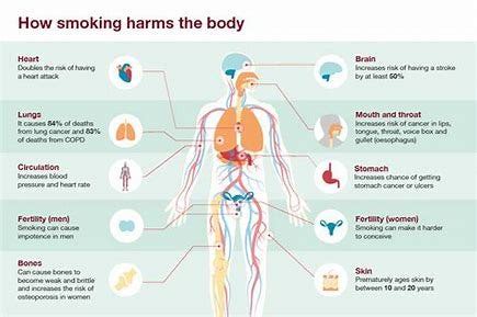risks emanating  smoking smoking   major public health