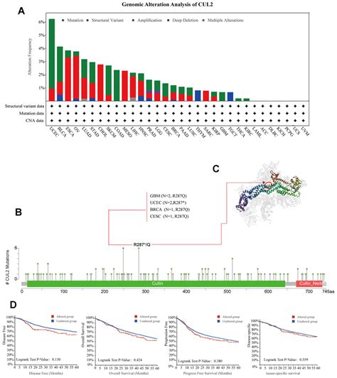 Comprehensive Prognostic And Immunological Analysis Of Cullin2 In Pan