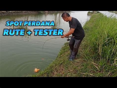 Spot Tambak Perdana Rute Tester Dusun Candipari Tambakploso