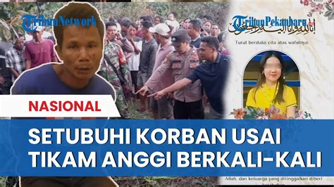 KEJI Pengakuan Herman Tusuk Korban Berkali Kali Lalu Setubuhi Anggi