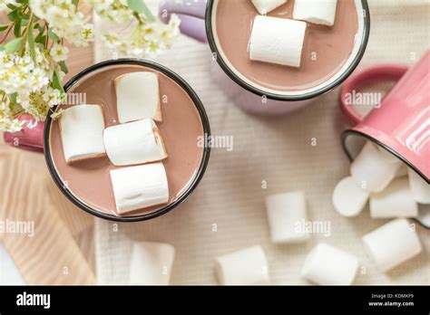 White Marshmallows On Top Of Hot Cocoa In Pink Cup Fresh White Spring Flowers And More