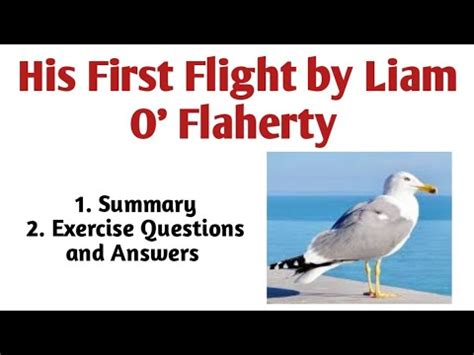 His First Flight By Liam O Flaherty Summary In Urdu Class 11 Chapter