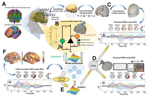 Methodological Workflow For Subject Specific Connectome Based