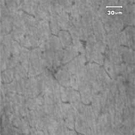 Optical Micrograph Of A Al6061 Alloy B Mmc Al6061 9wt Sic 1wt