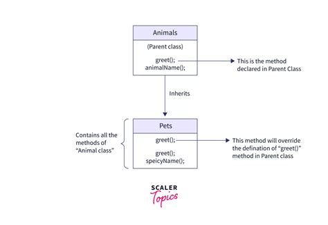 Javascript Class Inheritance Scaler Topics