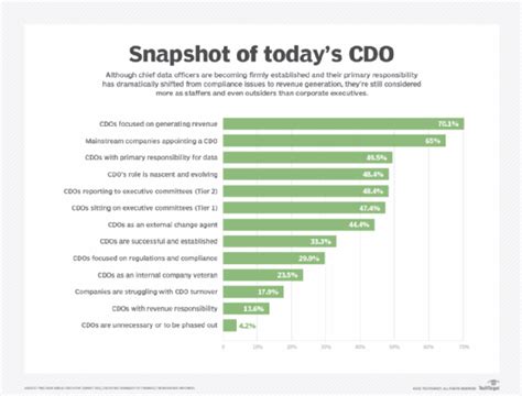 Chief Data Officer Cdo Role And Responsibilities