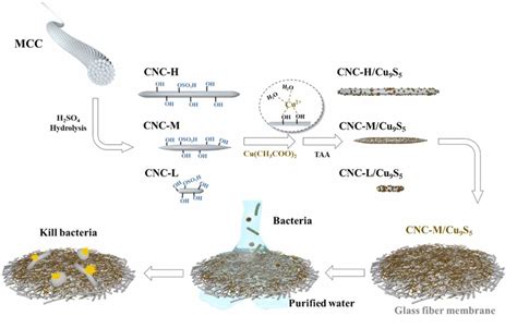 Cellulose nanocrystals for environmental cleanup (part 2)