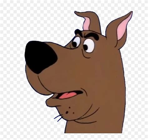 Download Scooby Doo Face Png Clipart 5604678 Pinclipart