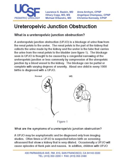 Ureteropelvic Junction Obstruction 0 | Genitourinary System | Medical Specialties