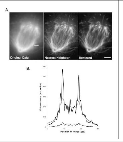 Figure 2 From A Workingperson S Guide To Deconvolution In Light