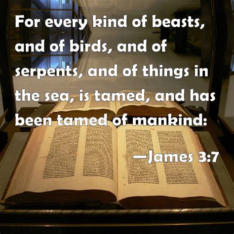 James 3:7 For every kind of beasts, and of birds, and of serpents, and ...