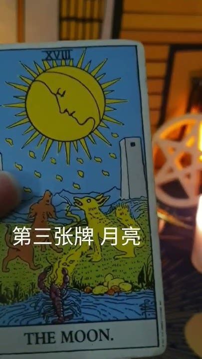 2023年7月份双鱼座爱情运势 ♓ 塔罗牌 占卜 塔罗牌占卜 2023 7月 双鱼座 爱情 运势 十二星座 Youtube