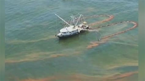 Bp Oil Spills Leaves Lasting Impact On Marine Life Fox 13 Tampa Bay