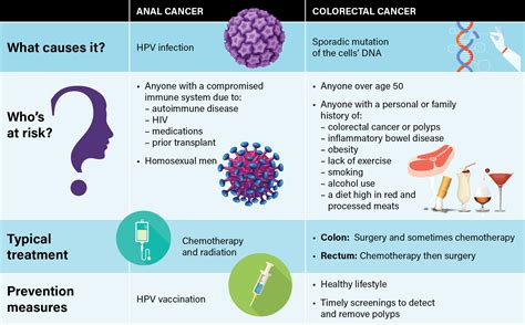 What Is Anal Cancer Roswell Park Comprehensive Cancer Center Buffalo Ny