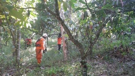 Cerita Hasnadi Berhasil Ditemukan Warga Usai Hari Hilang Di Hutan