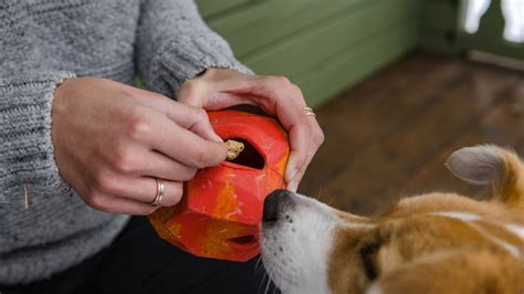 Gnawt A Rock™ Rubber Treat Dispensing Dog Toy Ruffwear