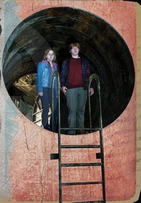 Hermione and Ron in the Chamber of Secrets-DH2 - Harry Potter Photo ...