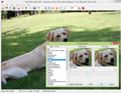 5 Best Free Windows Photo Viewer Alternatives For Windows 10