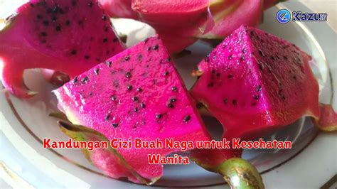 Manfaat Buah Naga Untuk Kesehatan Wanita Life Style