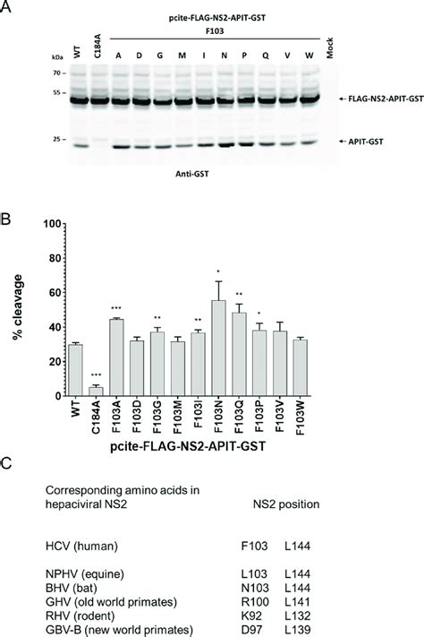 F103 Permutation Analysis Revealed A Broad Spectrum Of Amino Acids Is