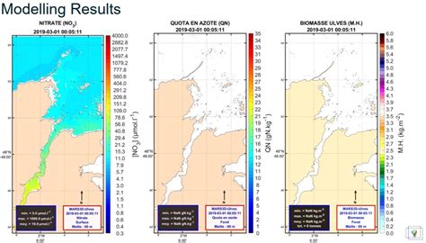 Algal Mats And Seaweed Highlights Over Recent Months Rantrans Rapid Reduction Of Nutrients