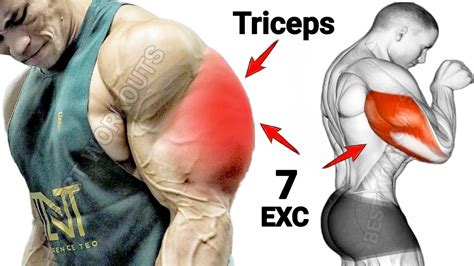 7 Effective Tricep Exercises For Bigger Arms Tricep Workout Youtube