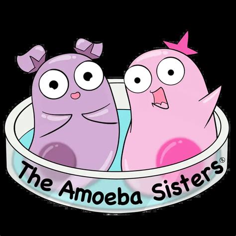 Amoeba Sisters Official Store Homeware