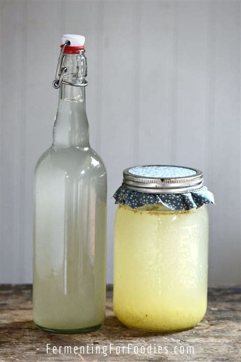 Ginger Beer Recipe Homebrew Non Alcoholic | Deporecipe.co