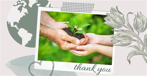 7 Ways To Say Thank You To The Earth Harpercollins