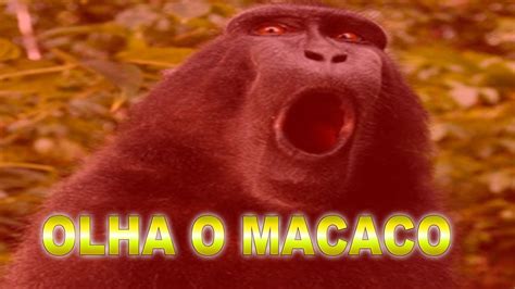 ONU MACACO MEME Todos Los Memes Del Mono YouTube