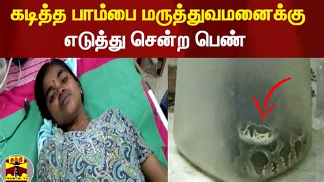 நாமக்கல்லில் கடித்த பாம்பை மருத்துவமனைக்கு எடுத்துசென்ற பெண் Youtube