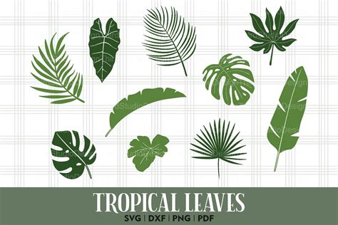 Tropical Leaves Svg Jungle Leaves Svg Plants Svg 1097425 Cut