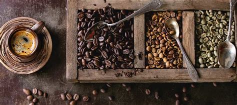 Come tostare il caffè in casa con il forno Pasqualini il caffè