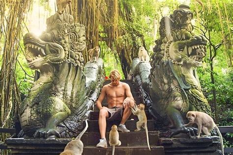 Tiket Ubud Tour With Sacred Monkey Forest Sanctuary Waterfall Rice