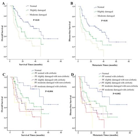 Overall Survival Os And Disease Free Survival Dfs Curves In Download Scientific Diagram